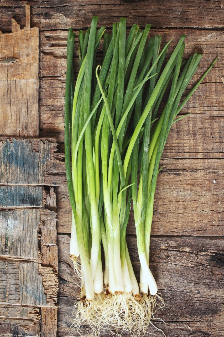 Échalote oignon vert valeur nutritive bienfaits santé et conservation